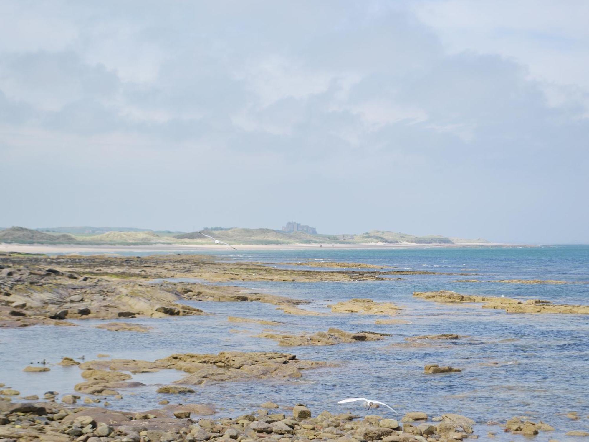 Shafto Cottage Seahouses Exterior photo